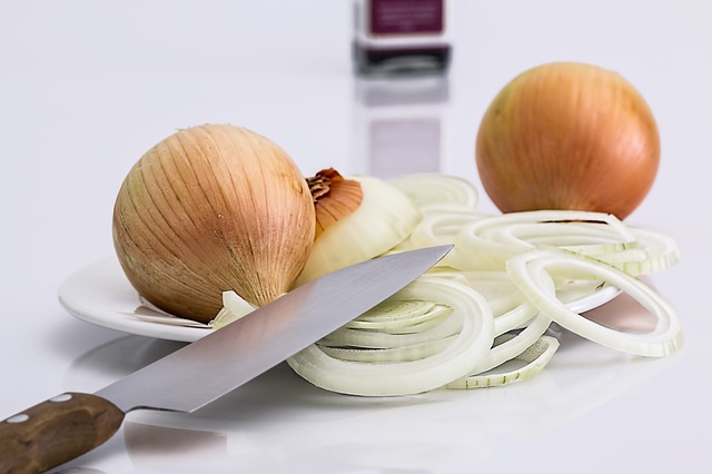 plátky cibule.jpg